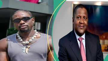 Verydarkman and Dangote trend as AI-generated images of them surface online, critic reacts