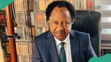 Shehu Sani ya fadi matakin da zai dauka kan Wike idan suka hadu nan gaba