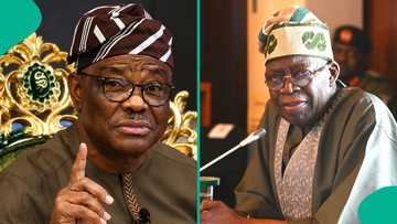 Wike announces why he cannot be Tinubu's 2027 campaign DG, "what is the essence"