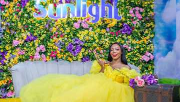 How Sunlight Wowed and Thrilled Guests at the 2022 AMVCA