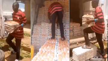 "Benin people don come again": Nigerian man walks on eggs without breaking any, video trends