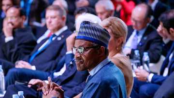 Fact check: Is 'Jibril from Sudan' Buhari's body double?