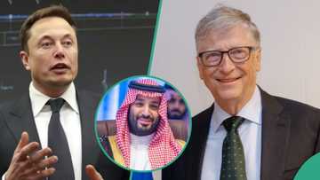 Da gaske arzikin zuriyar Sarkin Saudiyya ya ninka na Elon Musk da Bill Gates? Gaskiya ta bayyana