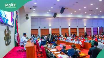 Uproar in Senate over appointment of non-indigene as Rivers electoral commission chairman