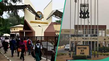 2024 JAMB: 10 most sought-after Universities in Nigeria