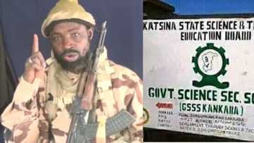 Kankara: Abubuwa 3 da Shekau ka iya bukata domin fansan daliban Katsina