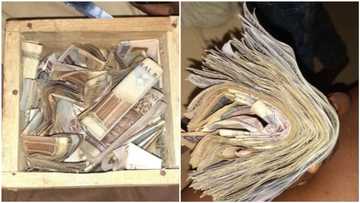 Nigerian lady shows off her N178k she saved in her room using local piggy box
