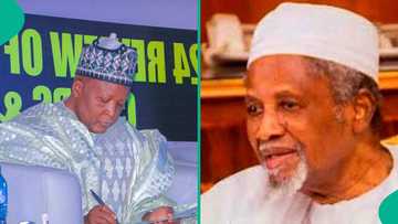 Kano: Hamshakin attajiri, Ɗantata da tsohon ministan Tinubu sun faɗa hannun ƴan damfara