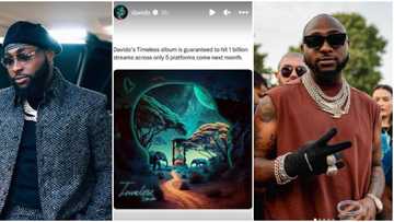 "8wks, Timeless Sets Record maintains no.1 on chart": Davido celebrates as Album hits 1bn streams, fans react