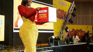 Hilda Baci partners with Gino to launch Gino Peppered Chicken Seasoning Cubes