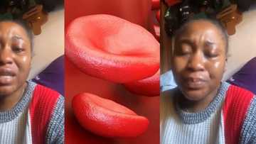 "Sickle cell is painful": Lady weeps, warns intending couples in viral video