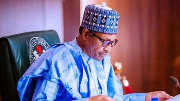 2023: Ministocin Buhari 2 suna zawarcin kujerarsa