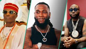 Wizkid, Davido, Burna Boy: Elon Musk’s AI names Afrobeats artist, “Who thinks he is the GOAT but isn’t”