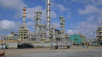 Suriname poised for cash inflow from newly discovered oil