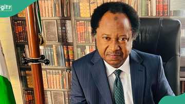 Shehu Sani explains why he lost senate re-election bid in 2019