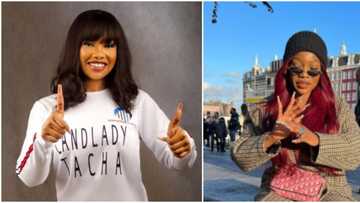 They will move in one year: Tacha replies fan who told her to advise BBNaija stars on dealing with toxic stans