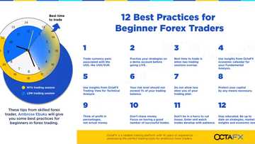 OctaFX: All You Need to know to Begin Forex Trading