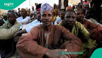 Reassessing the endgame in Nigeria’s bandit amnesty programmes