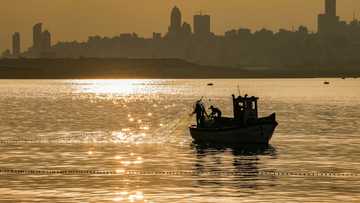 WTO fishing deal: the net results