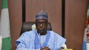 Insecurity: Nigerian governor finally identifies bandits terrorising the country