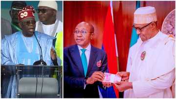 Buhari granted CBN Governor Emefiele study leave to "flee Nigeria before Tinubu’s inauguration"? Presidency reacts