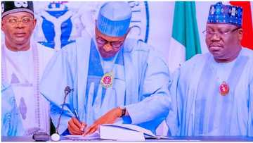 Full list and details of new bills President Buhari signed into law