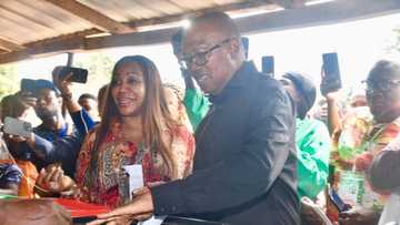 2023 presidential election results: Full list of states Labour Party's Peter Obi won