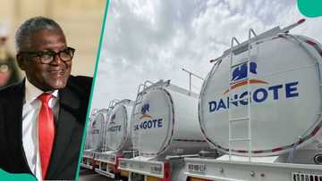 Dangote gives update on delay in fuel distribution plan with CNG trucks