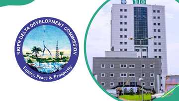 The NDDC scholarship — what it covers, who qualifies, and everything you need to apply