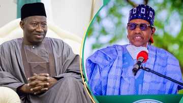 Jonathan recounts how he felt losing to Buhari in 2015