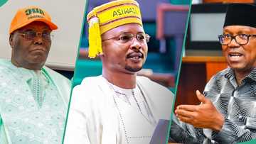 2027: “I’m landlord in ADC,” Top lawmaker declares, mentions month Atiku’s coalition will collapse