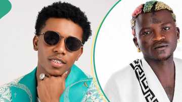 “Werey no sabi sing”: Small Doctor shades Portable after he rocked Rahman Jago’s N720k design