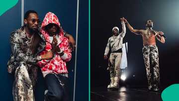 “Two kings making moves”: Rema melts hearts as he honours D’banj onstage, video trends