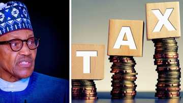 Federal Government of Nigeria to Introduce More Sin Taxes in 2023