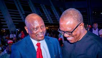 Yaron Gwamnan APC Ya Yarda Kwankwaso Barazana ne a Takarar Shugaban Kasa