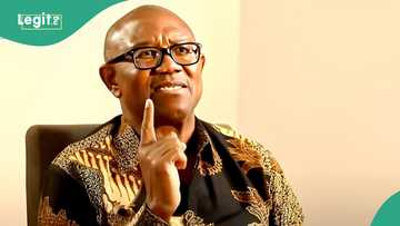 Peter Obi challenges top APC governor: "I am not afraid"