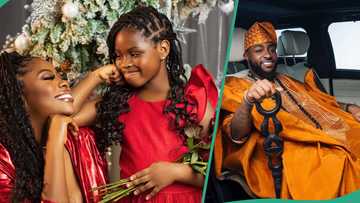 Drama as Sophia Momodu shades Davido during live session, 30BG replies her: "You sound so pained"