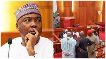 APC forms majority as Saraki, Akpabio, 62 senators,151 reps fail to return