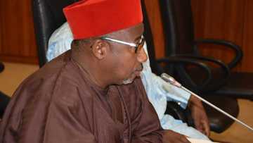 Northern governor discovers 596 dead persons on state govt's payroll