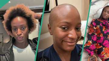 DJ Cuppy stuns with hair transformation, shares throwback pictures of her bald head