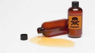 'Yar shekara 17 ta debi piya-piya don an saki mahaifiyarta a Kano