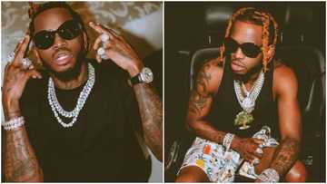 Diamond Platnumz spotted sandwiched between 2 ladies during steamy dance in Germany