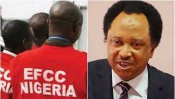 Shehu Sani ya bayyana abubuwan da suka faru da shi a hannun EFCC