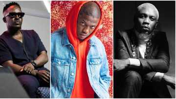 "Is Hip Hop music dead in Nigeria?" Fans agree with Wizkid as others support Nigerian rappers