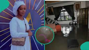 Lady screams as she spots living creature swimming inside friend's flooded apartment in Lekki