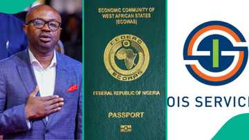 Nigeria visa services in US: OIS explains why applications are paused