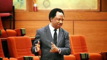 2023: Shehu Sani reveals how APC’s, PDP’s presidential candidates will emerge
