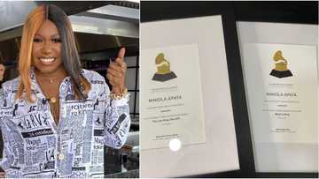 Singer Niniola proudly shows off Grammy certificates after Seun Kuti's rant about nominations