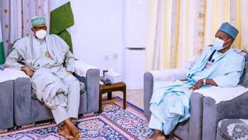 Masari ya ziyarci Daura domin yi wa Buhari jawabi a kan daliban Kankara