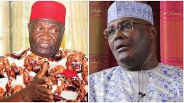 2019: Why we endorsed Atiku - Ohanaeze